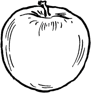 Vintage-Apple-Line-Drawing-GraphicsFairy